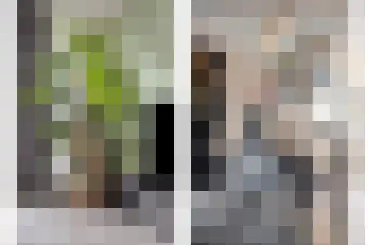 Asperge 20 Helden thumbnail 12