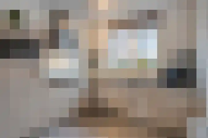 Asperge 20 Helden thumbnail 13