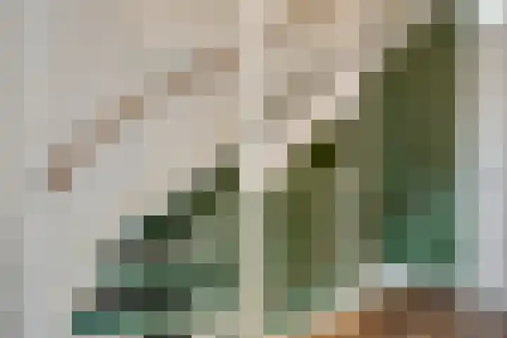 Asperge 20 Helden thumbnail 15