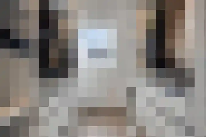 Asperge 20 Helden thumbnail 18