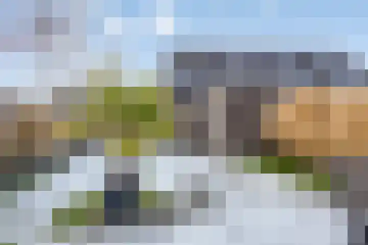 Asperge 20 Helden thumbnail 25