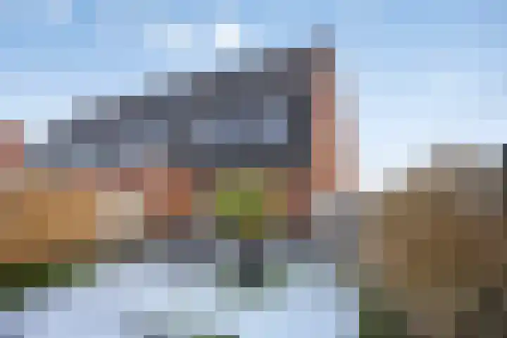 Asperge 20 Helden thumbnail 27