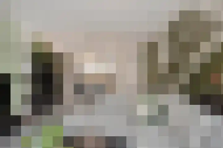 Asperge 20 Helden foto 3