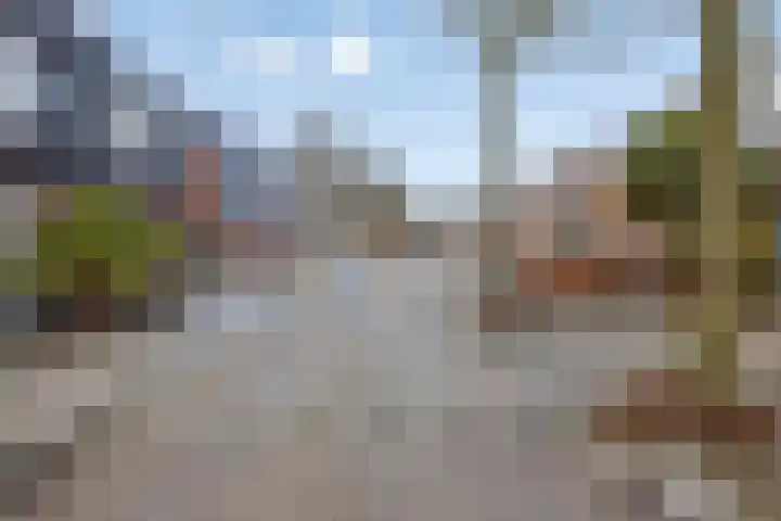 Asperge 20 Helden thumbnail 31