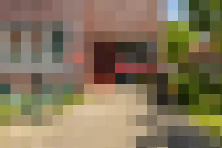 Asperge 20 Helden thumbnail 5