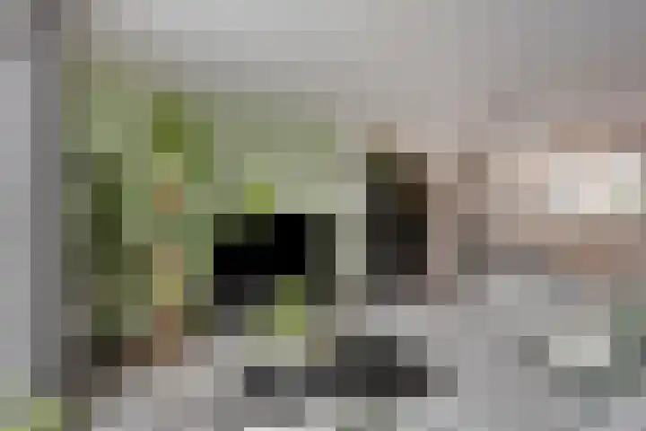 Asperge 20 Helden thumbnail 9