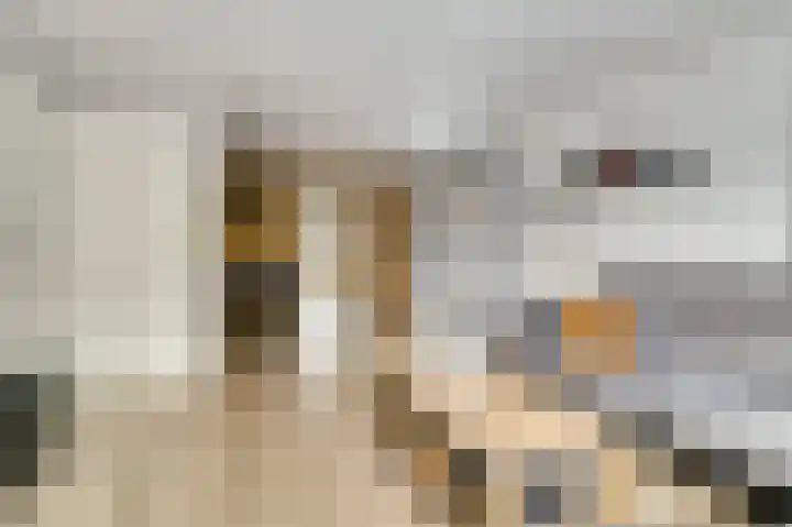 Asperge 49 Helden thumbnail 12