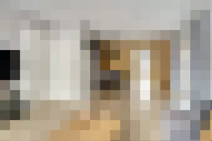 Asperge 49 Helden thumbnail 13