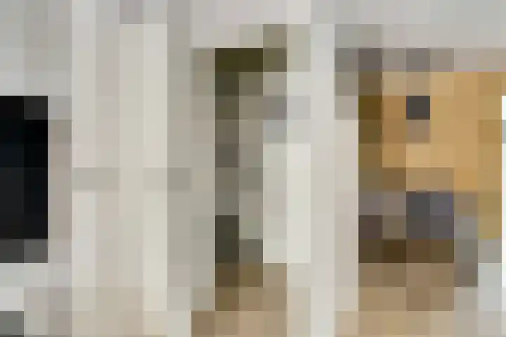 Asperge 49 Helden thumbnail 14