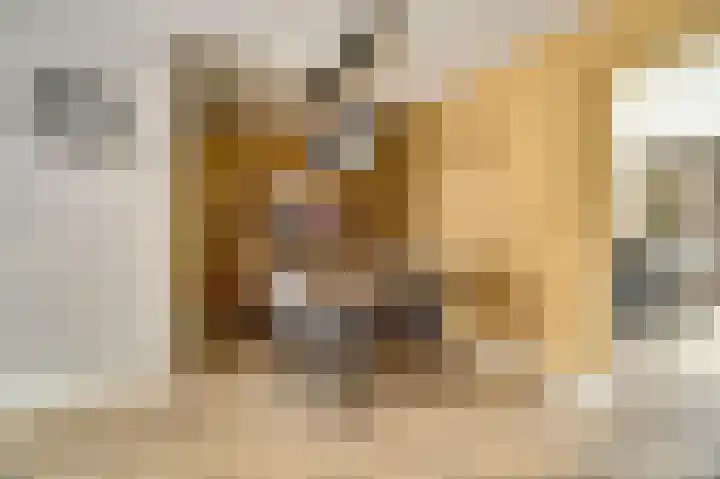 Asperge 49 Helden thumbnail 18