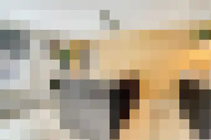 Asperge 49 Helden thumbnail 21