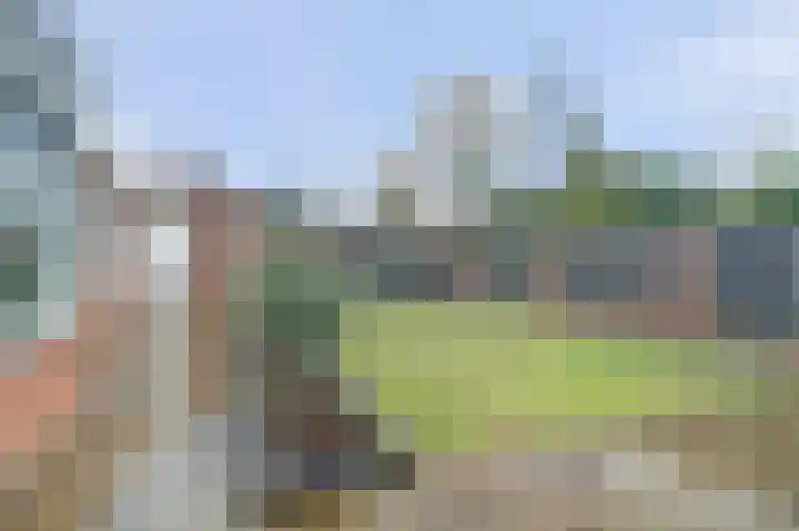 Asperge 49 Helden thumbnail 60
