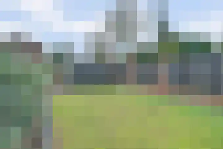 Asperge 49 Helden thumbnail 61
