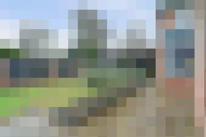 Asperge 49 Helden thumbnail 63