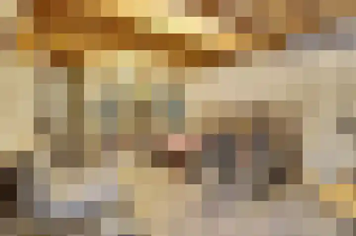 Asperge 49 Helden thumbnail 67