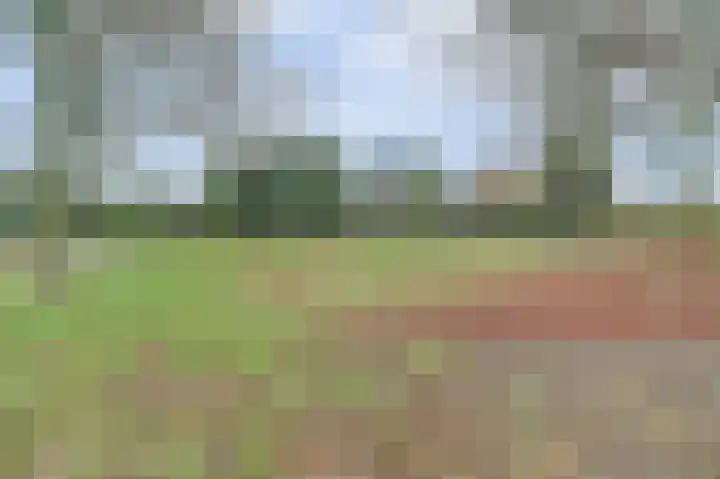 Asperge 49 Helden thumbnail 69