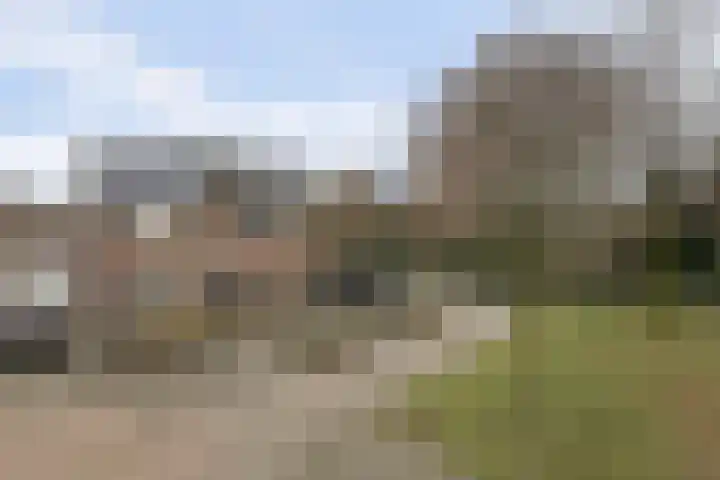 Asperge 49 Helden thumbnail 70