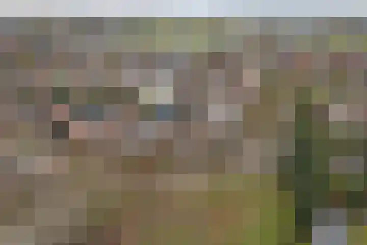 Asperge 49 Helden thumbnail 71