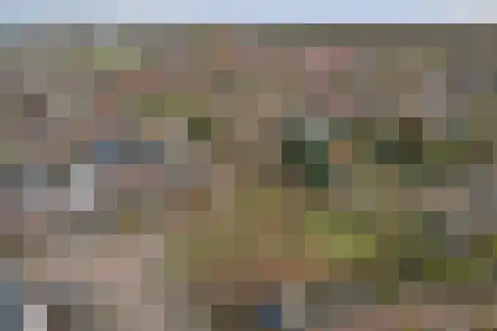 Asperge 49 Helden thumbnail 72