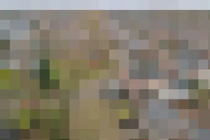 Asperge 49 Helden thumbnail 73