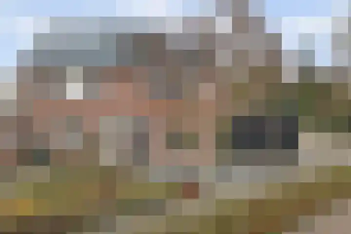 Asperge 49 Helden thumbnail 74