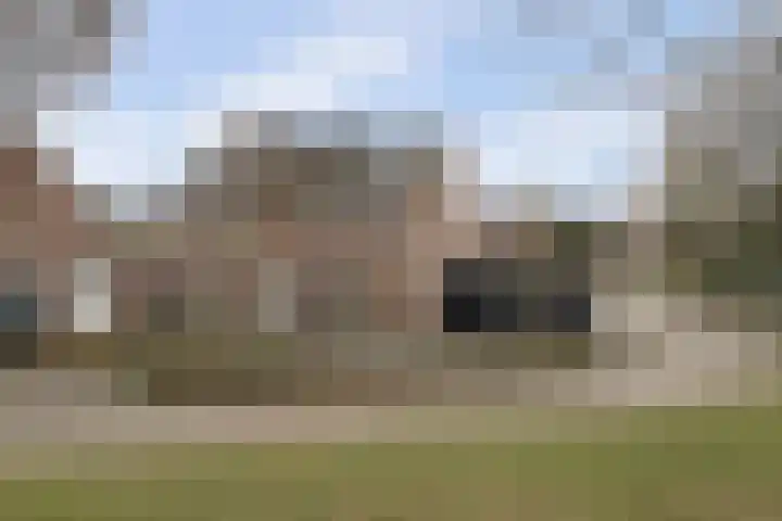 Asperge 49 Helden thumbnail 75