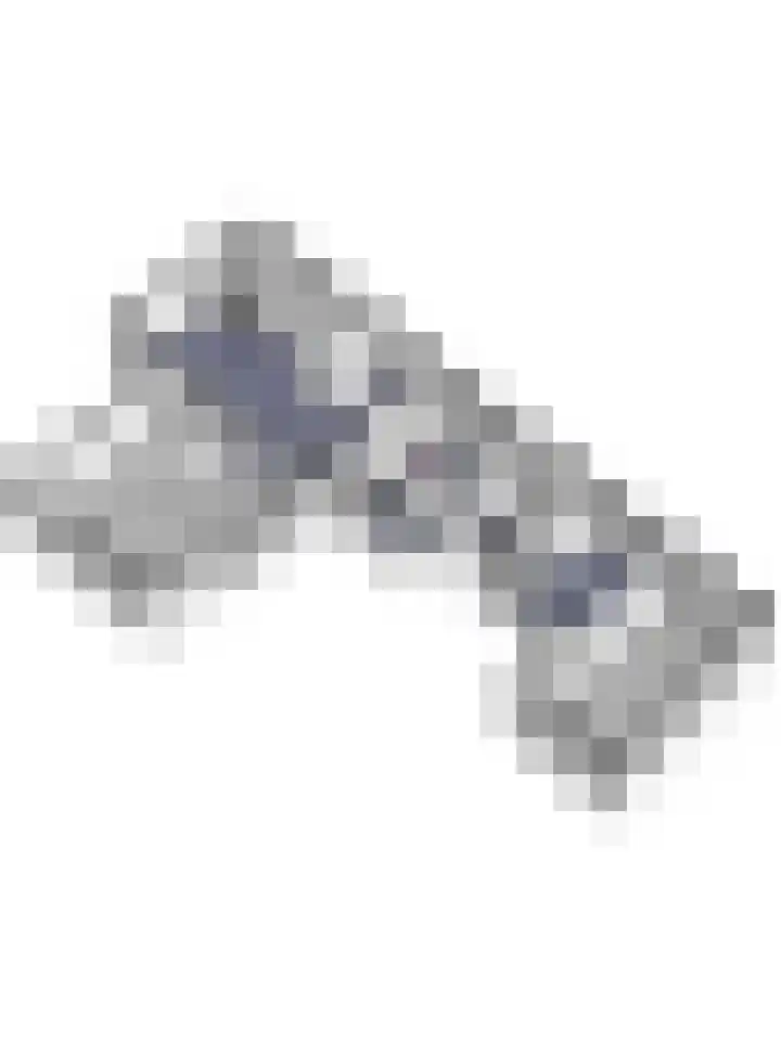 Asperge 49 Helden thumbnail 80