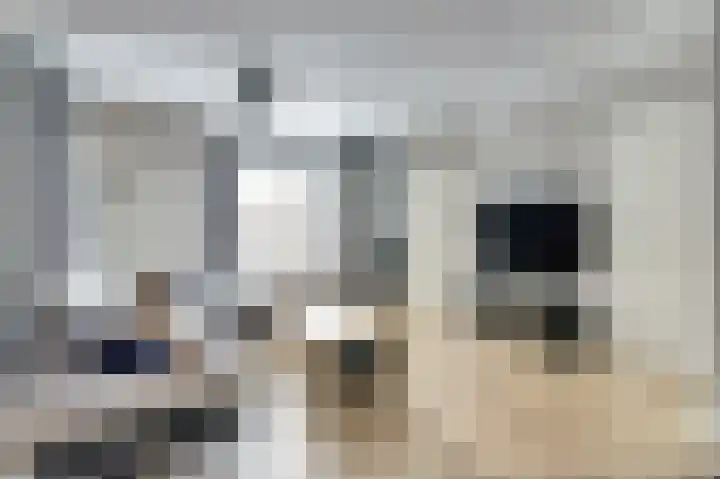 Asperge 49 Helden thumbnail 9