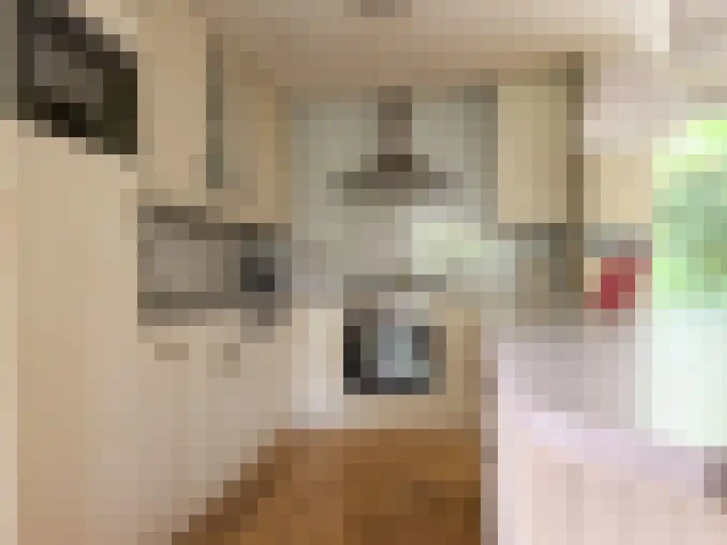 Aspergelaan 7 Amerongen thumbnail 10