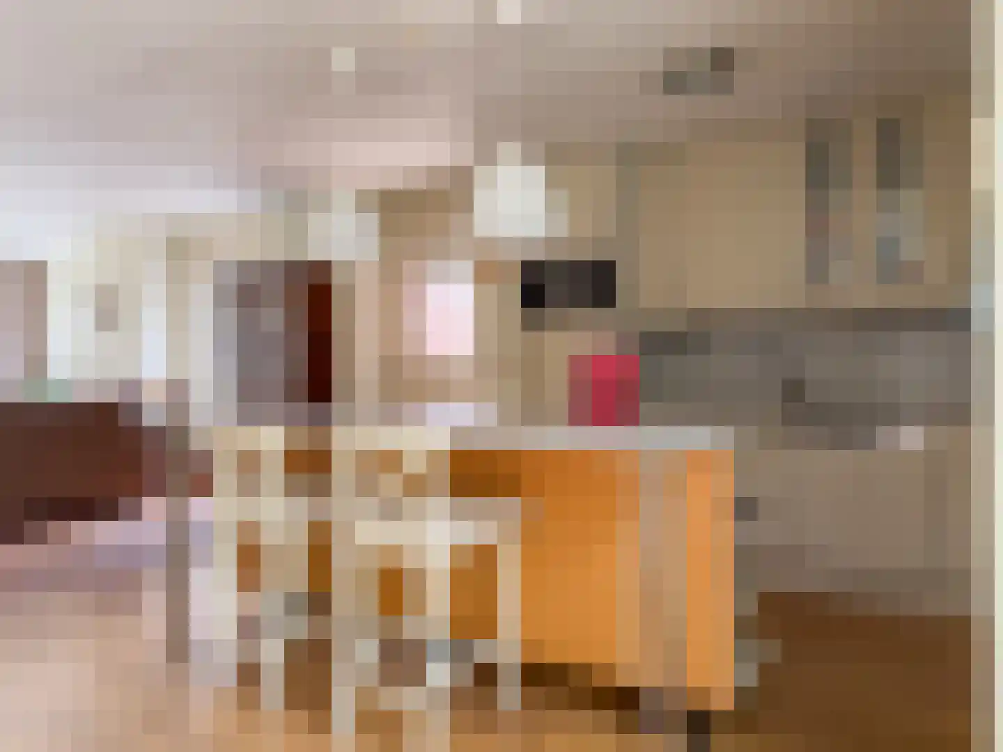 Aspergelaan 7 Amerongen thumbnail 11