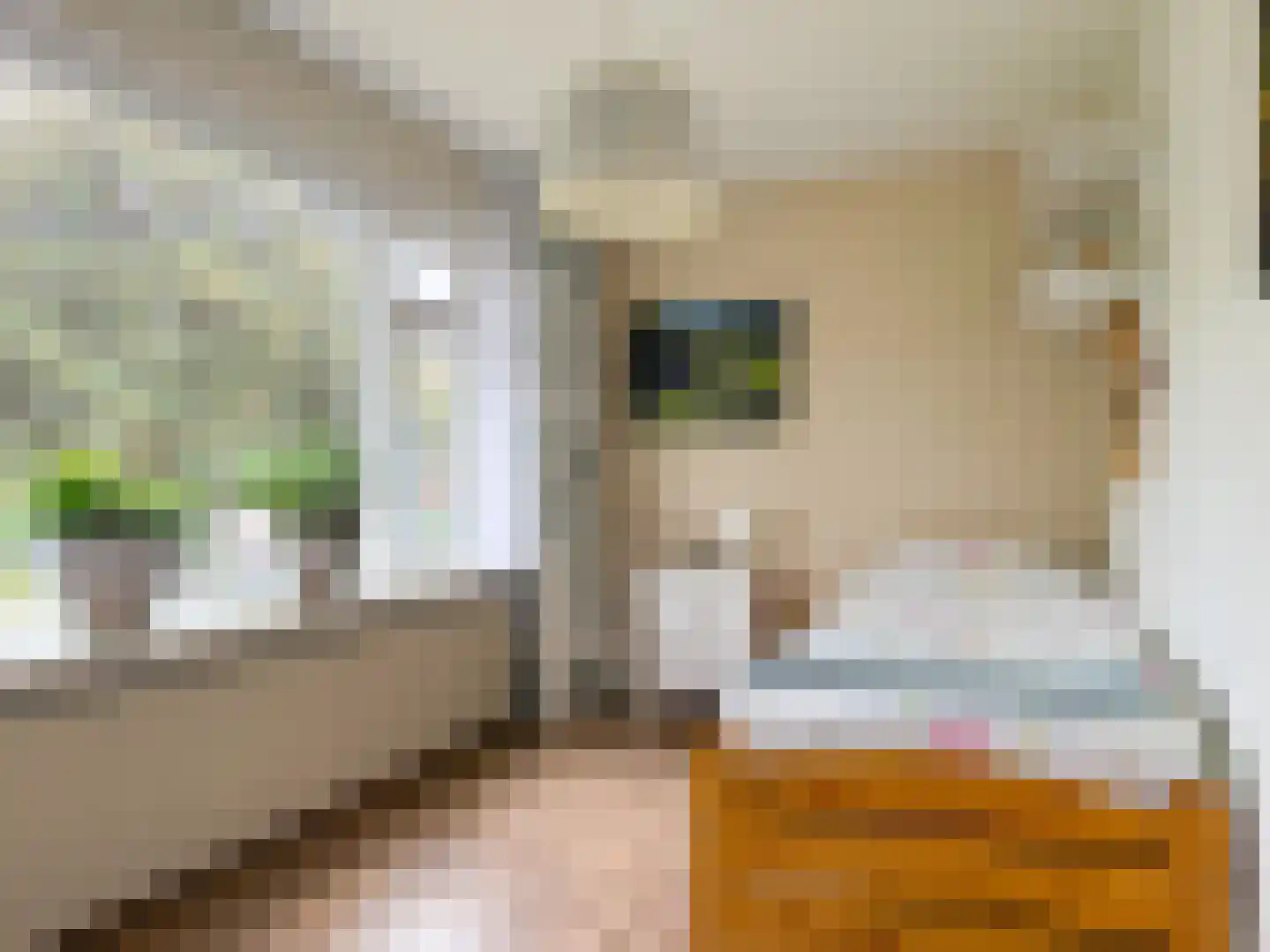 Aspergelaan 7 Amerongen thumbnail 16
