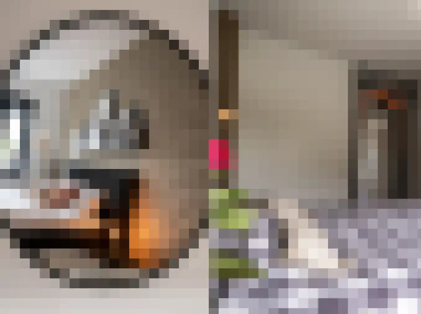Aspergeveld 26 Berghem thumbnail 14