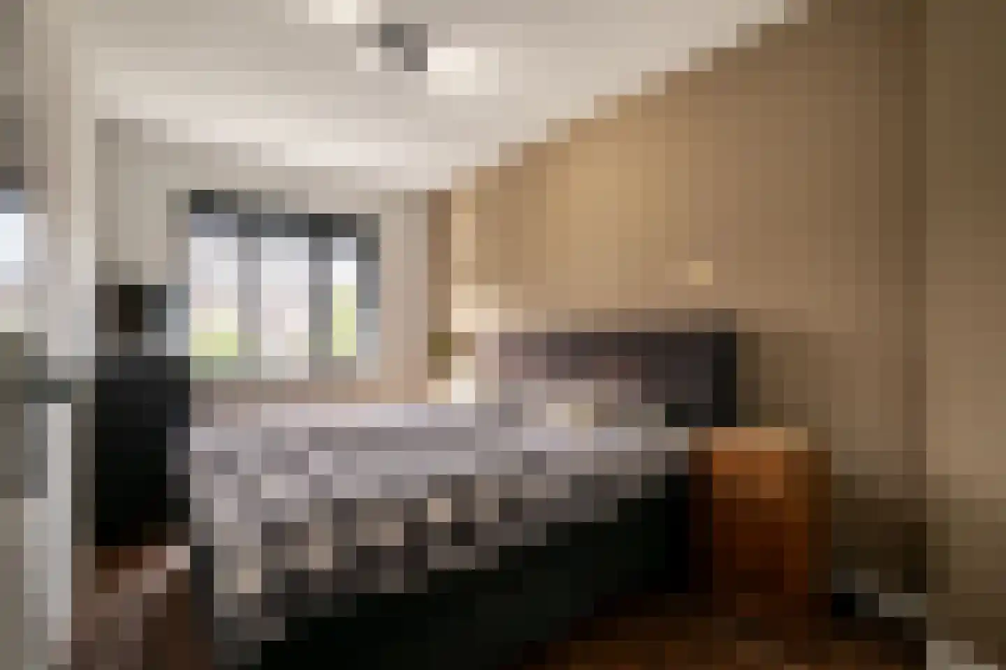 Aspergeveld 26 Berghem thumbnail 15