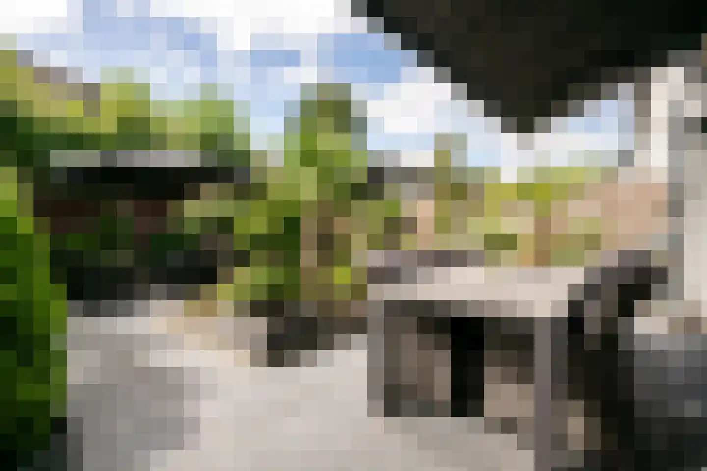 Aspergeveld 26 Berghem thumbnail 24