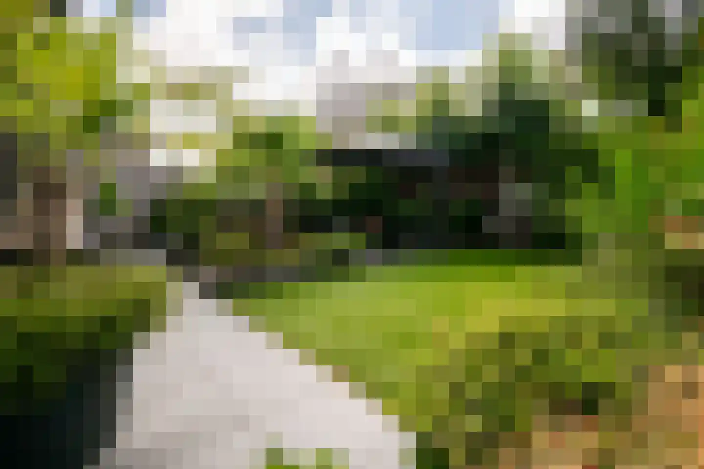 Aspergeveld 26 Berghem thumbnail 26