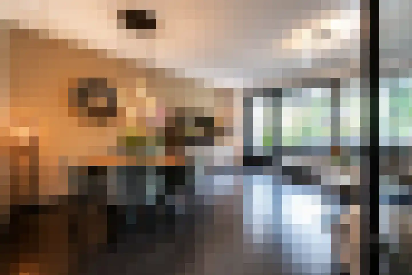 Aspergeveld 26 Berghem thumbnail 7