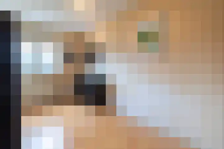 Aspremonthof 7 Voerendaal thumbnail 17