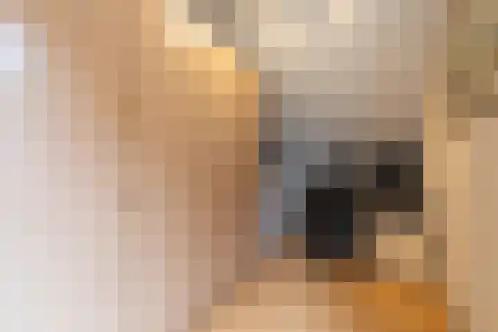Aspremonthof 7 Voerendaal thumbnail 20