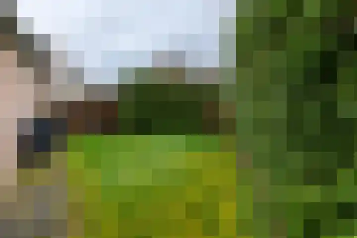 Aspremonthof 7 Voerendaal thumbnail 26