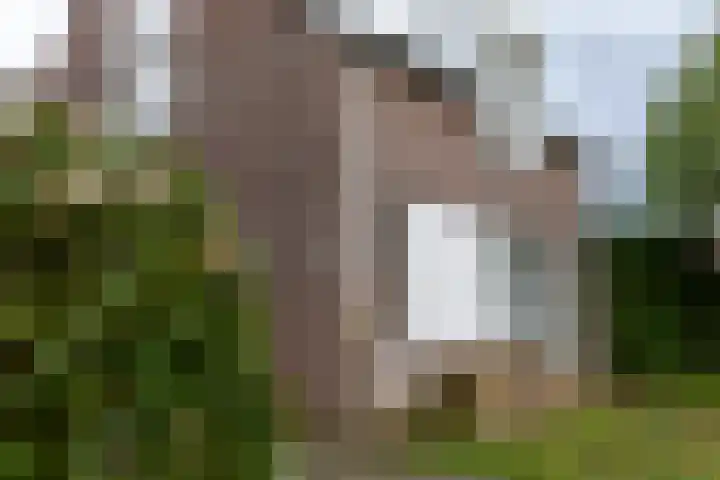 Aspremonthof 7 Voerendaal thumbnail 27