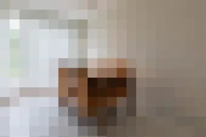 Aspremonthof 7 Voerendaal thumbnail 9