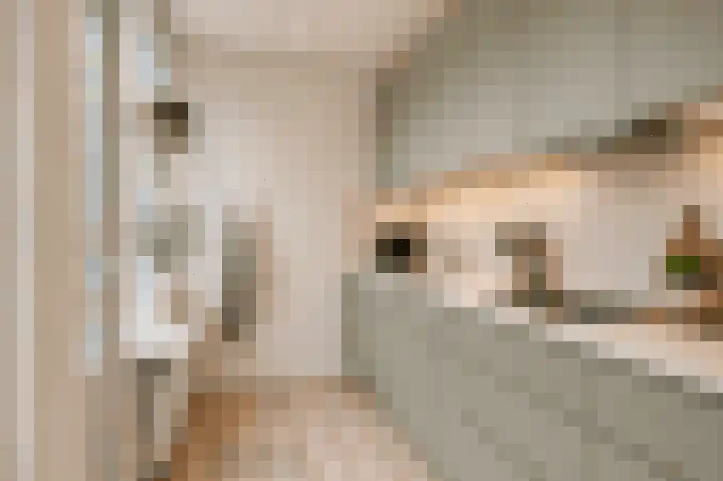 Asschatterweg 129 Leusden thumbnail 10