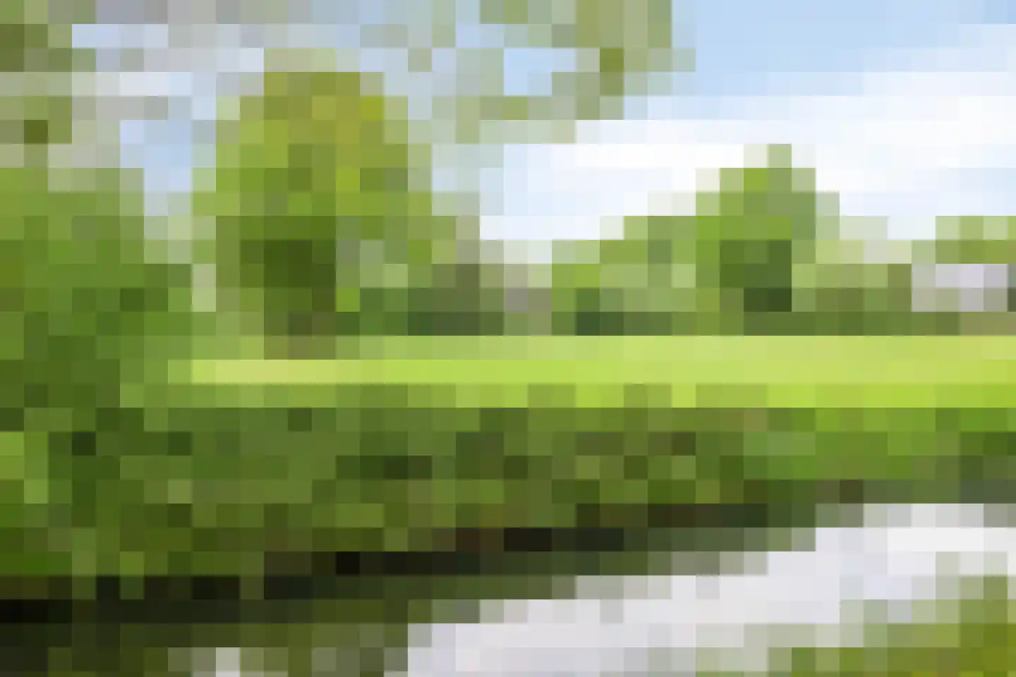 Asschatterweg 129 Leusden thumbnail 32