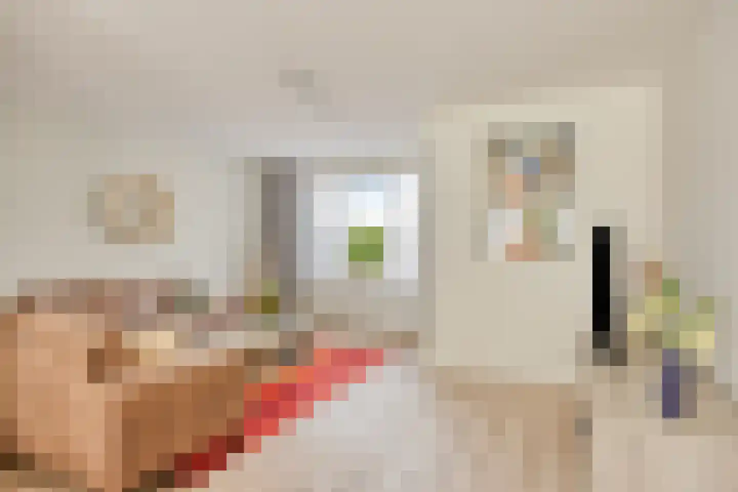 Asschatterweg 129 Leusden thumbnail 5