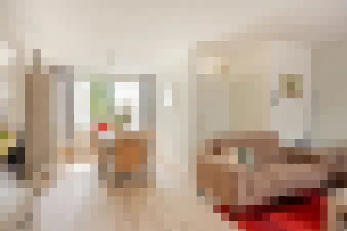 Asschatterweg 129 Leusden thumbnail 6
