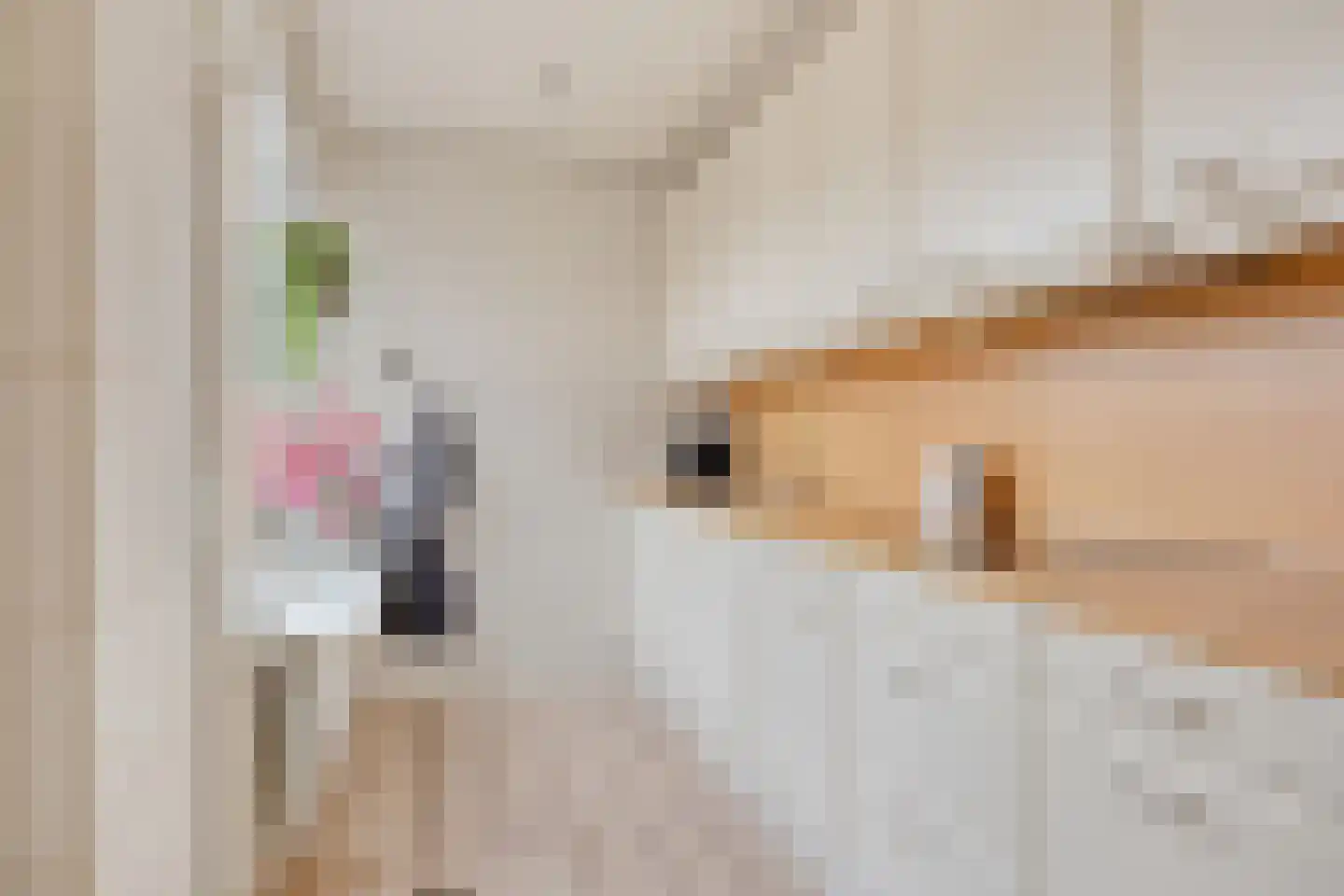 Asschatterweg 129 Leusden thumbnail 8
