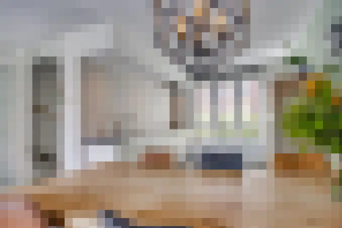 Asschatterweg 13 Leusden thumbnail 10