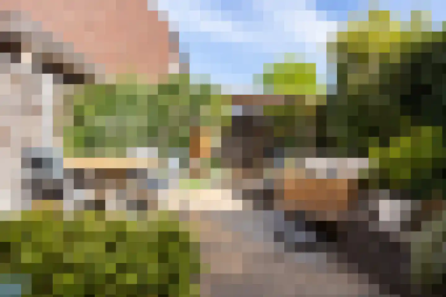 Asschatterweg 13 Leusden thumbnail 30