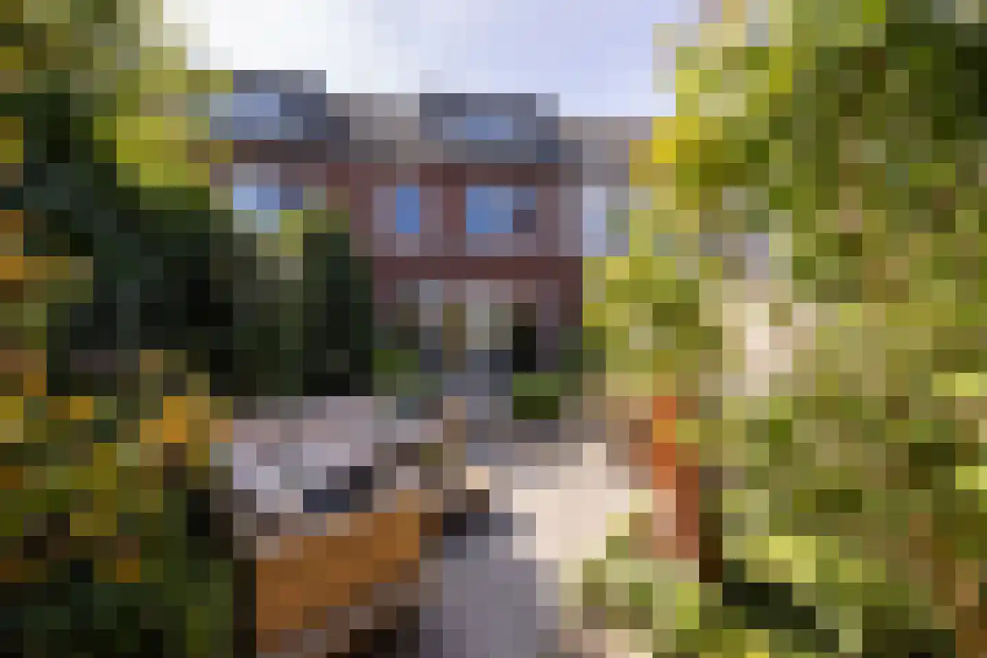 Asschatterweg 13 Leusden thumbnail 31