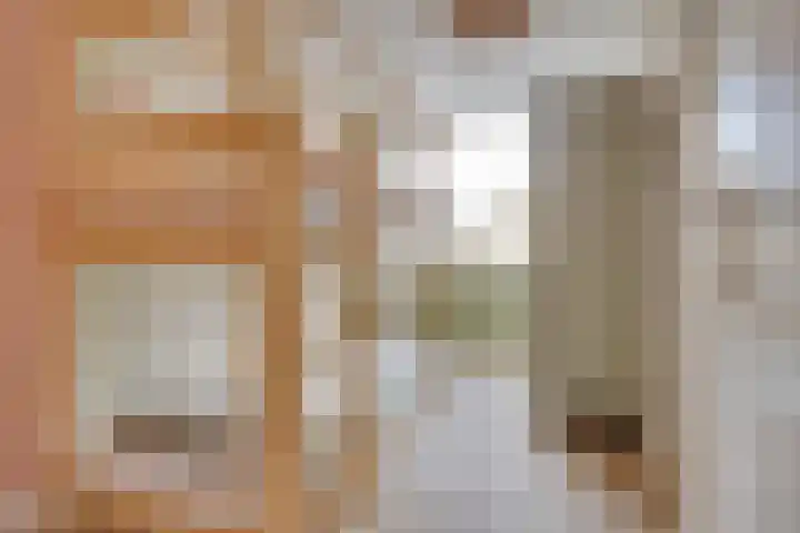 Asschatterweg 137 Leusden thumbnail 16